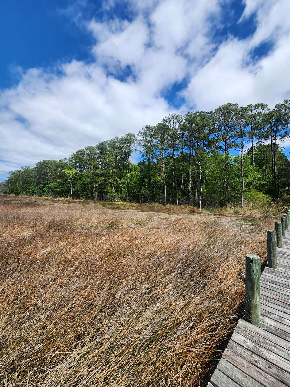 4.1 Acres of Land for Sale in Beaufort Township, North Carolina
