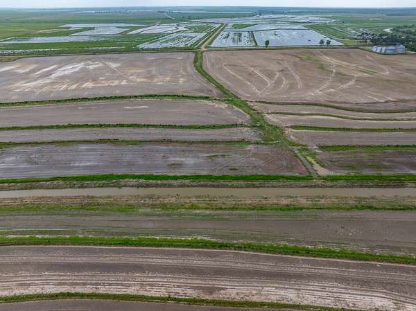 887 Acres of Land for Sale in Welsh, Louisiana