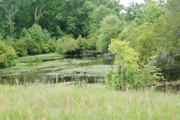 35.8 Acres of Agricultural & Residential Land for Sale in Grand Saline, Texas