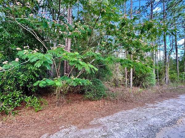 0.52 Acres of Land for Sale in Bronson, Florida