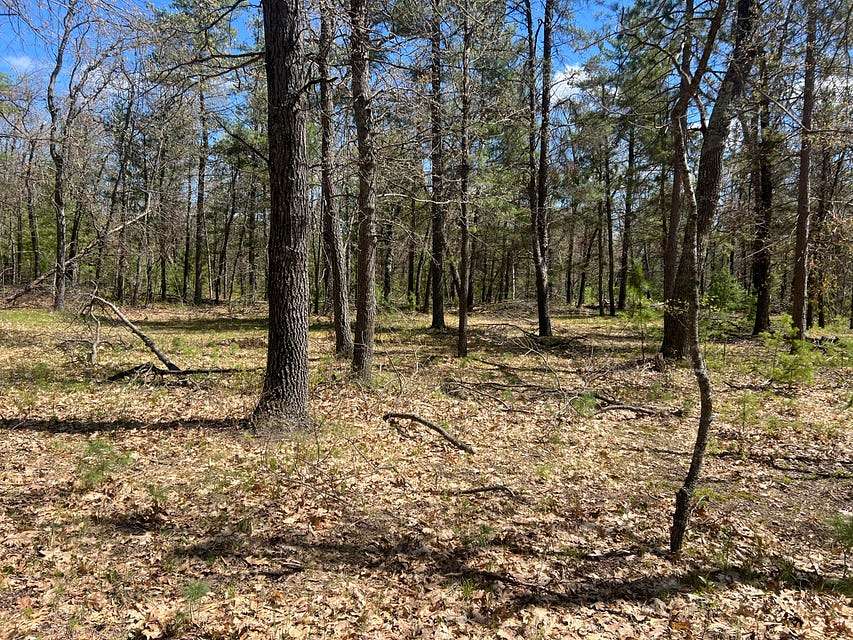 1.6 Acres of Land for Sale in Hillman, Michigan