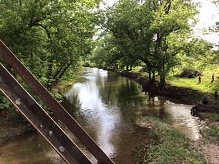 86.6 Acres of Land with Home for Sale in Sturkie, Arkansas