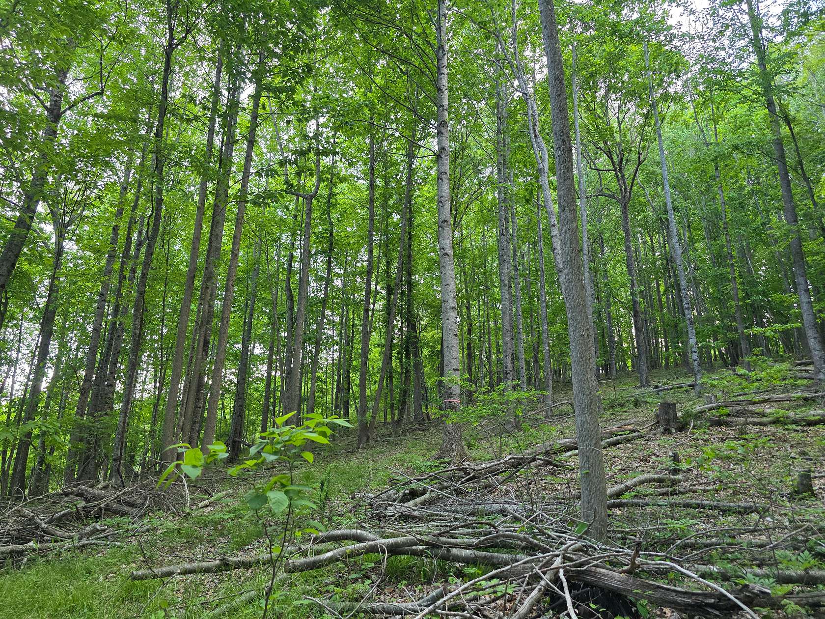 7.12 Acres of Land for Sale in Hillsville, Virginia