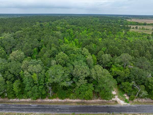 50 Acres of Land for Sale in Iowa, Louisiana