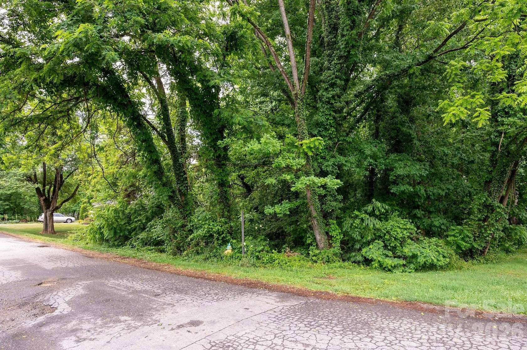 0.3 Acres of Residential Land for Sale in Candler, North Carolina