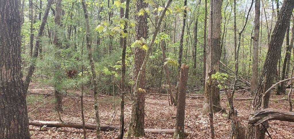 3.28 Acres of Land for Sale in Ellijay, Georgia