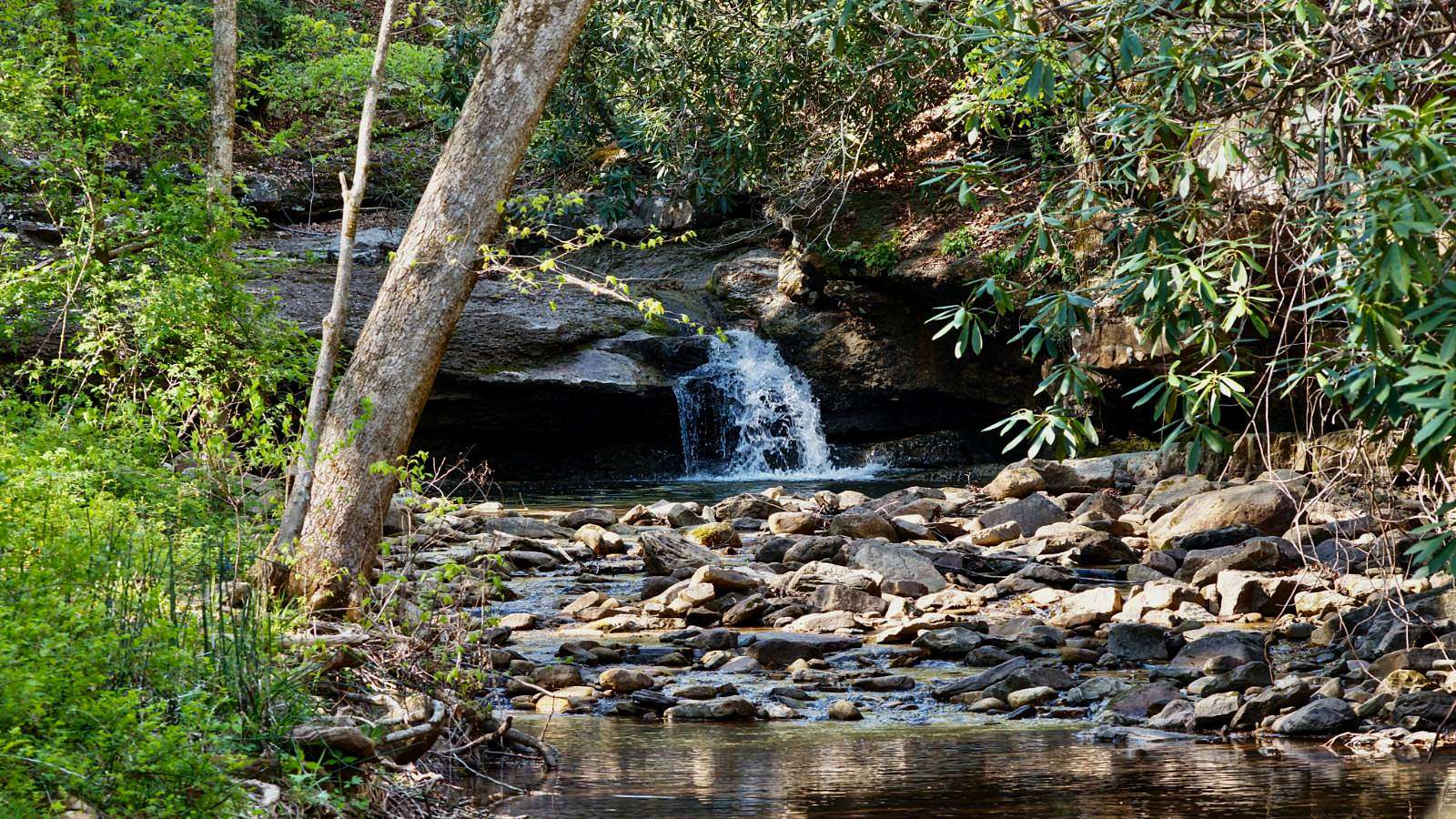 21.7 Acres of Recreational Land for Sale in Hinton, West Virginia