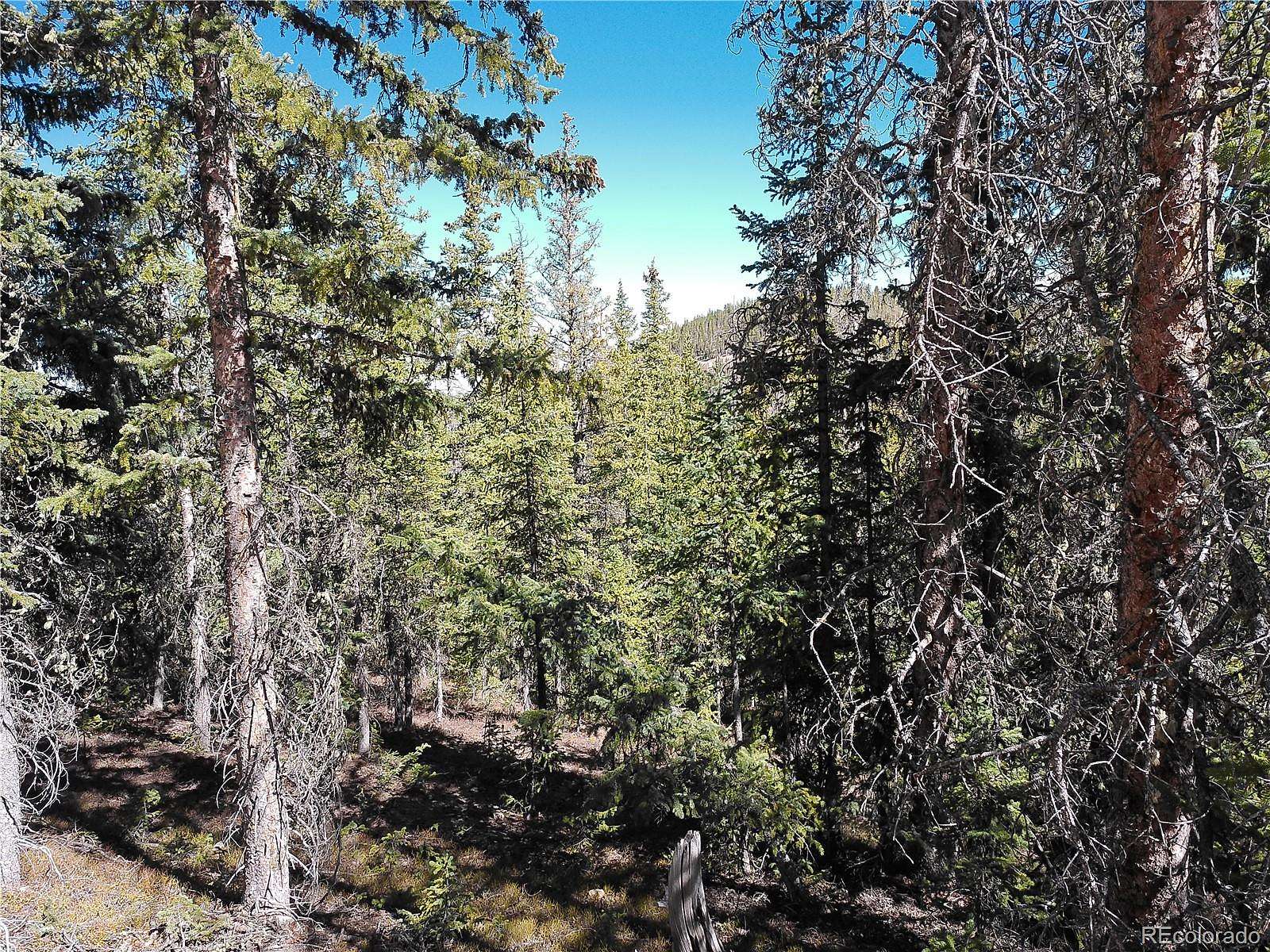 9.25 Acres of Residential Land for Sale in Fort Garland, Colorado