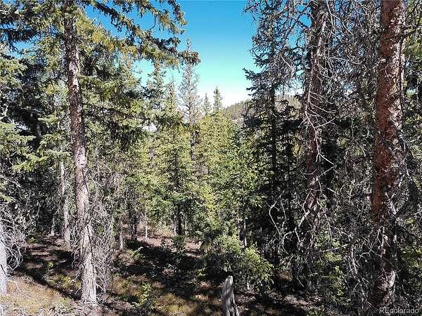 9.25 Acres of Residential Land for Sale in Fort Garland, Colorado