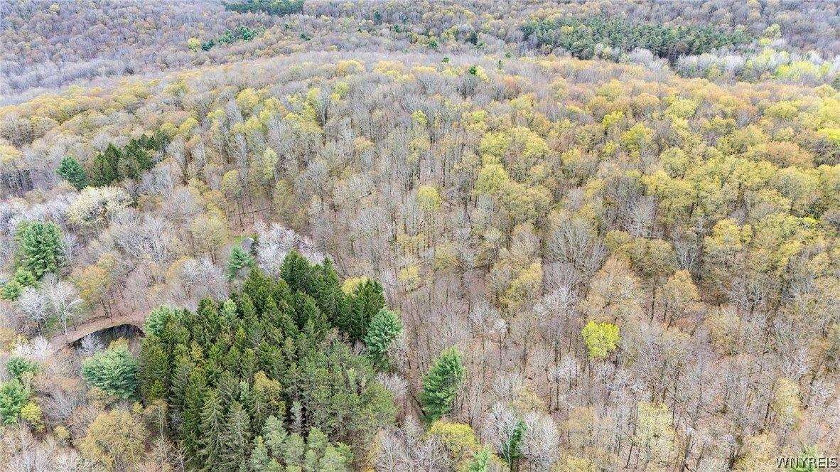 5.6 Acres of Improved Land for Sale in Clarksville Town, New York