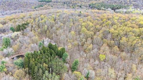 5.6 Acres of Improved Land for Sale in Clarksville Town, New York