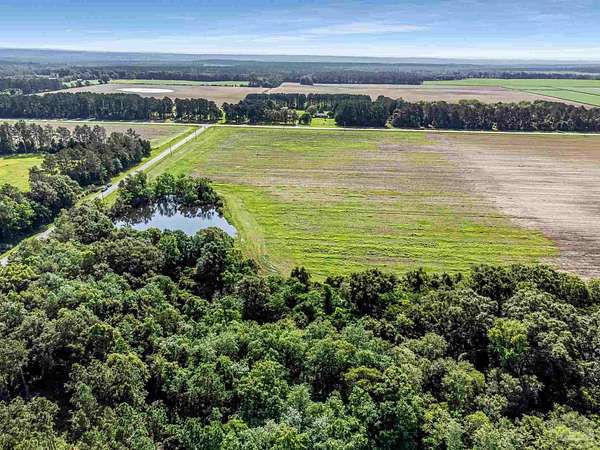 9 Acres of Land for Sale in Walnut Hill, Florida