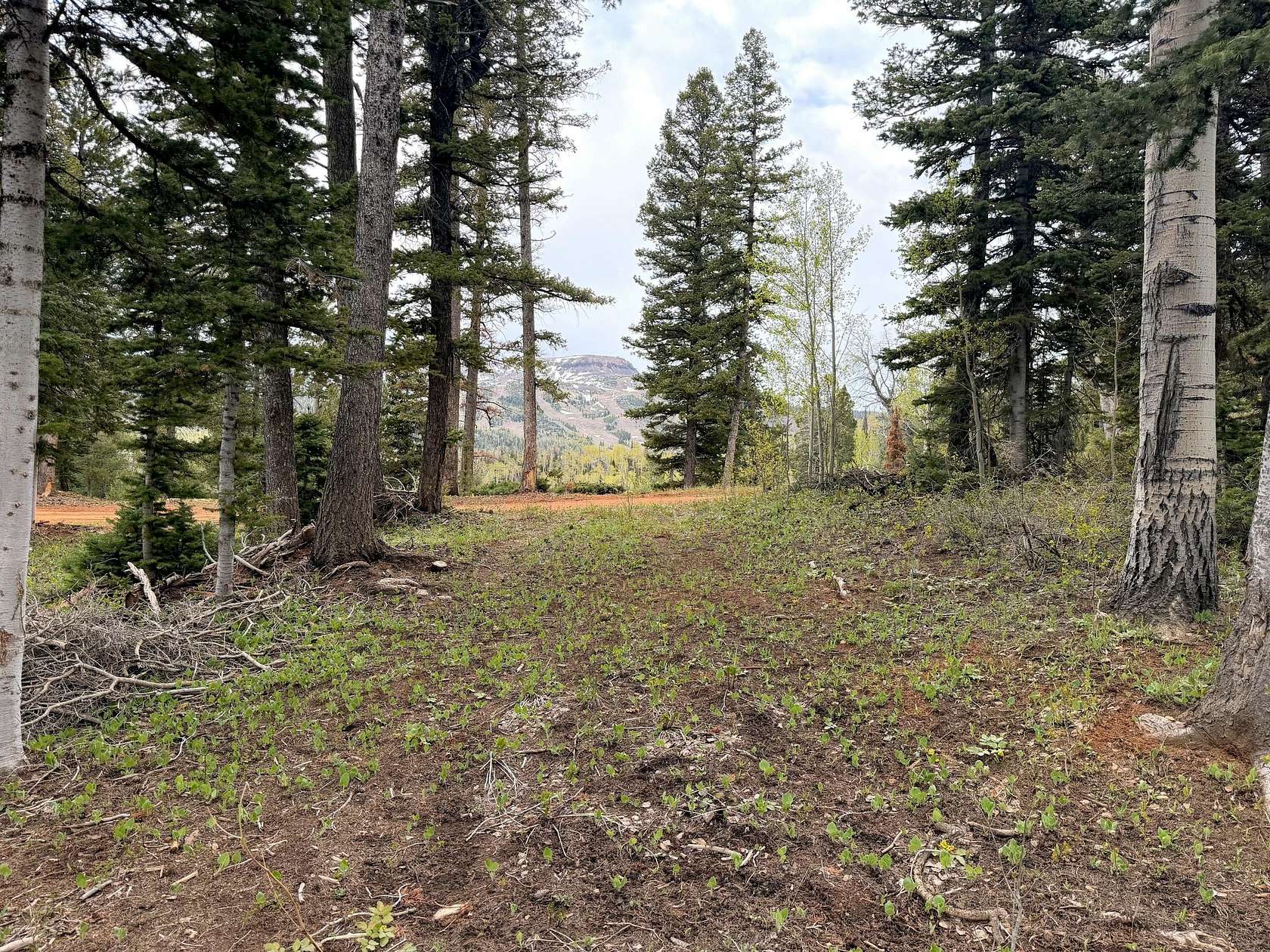 0.57 Acres of Residential Land for Sale in Brian Head, Utah