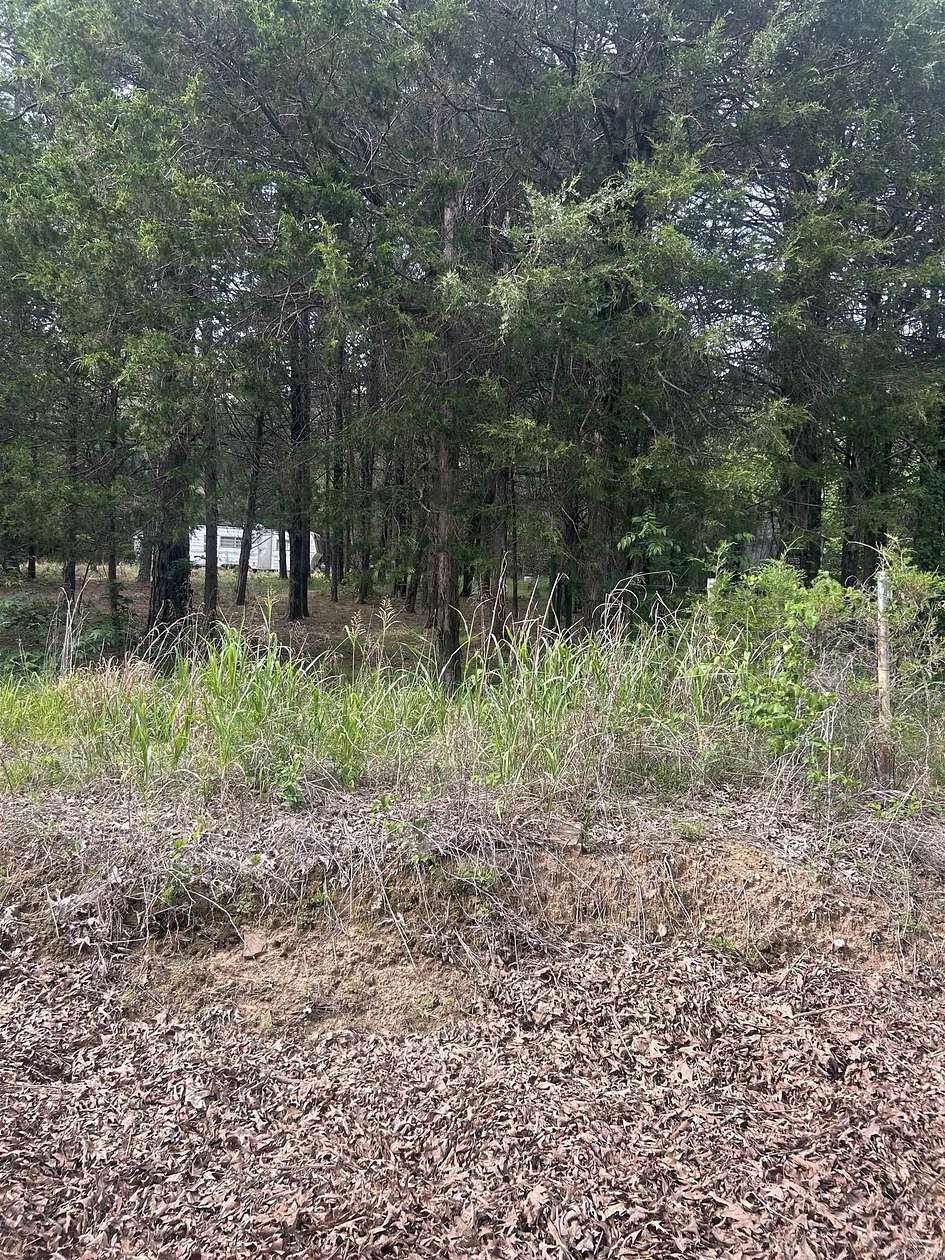 28 Acres of Recreational & Residential Land for Sale in Pleasant Plains, Arkansas