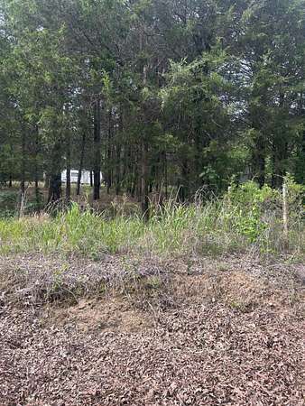 28 Acres of Recreational & Residential Land for Sale in Pleasant Plains, Arkansas