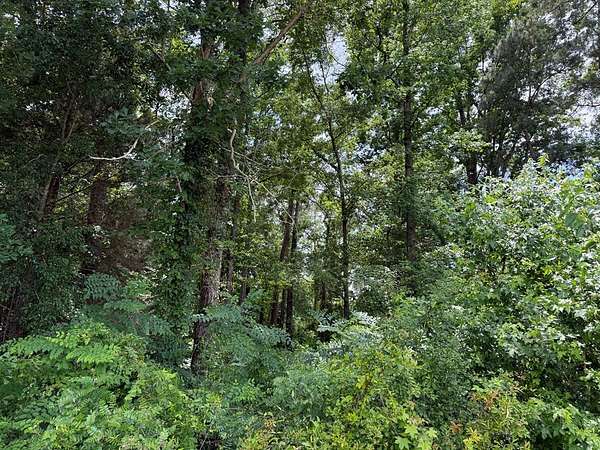 0.8 Acres of Residential Land for Sale in Vienna, Georgia