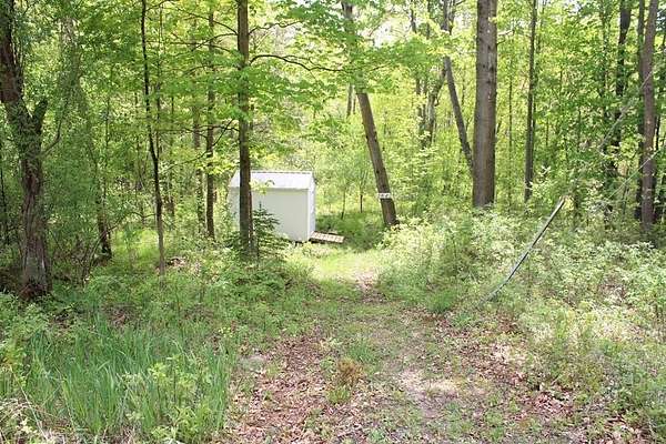 0.45 Acres of Residential Land for Sale in Farwell, Michigan