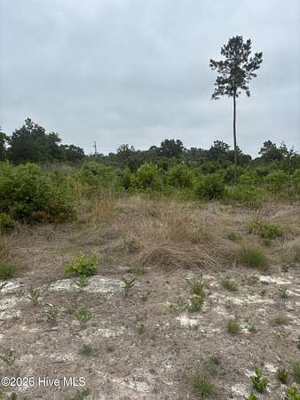 1.2 Acres of Land for Sale in Clinton, North Carolina