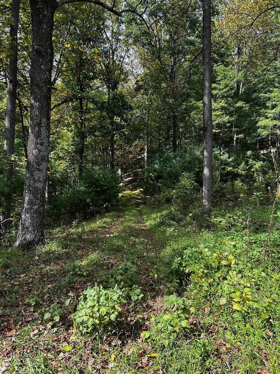 71 Acres of Recreational & Residential Land for Sale in Luray, Virginia