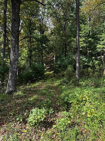 71 Acres of Recreational & Residential Land for Sale in Luray, Virginia