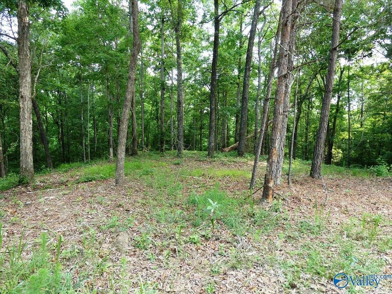 2 Acres of Land for Sale in Jasper, Alabama