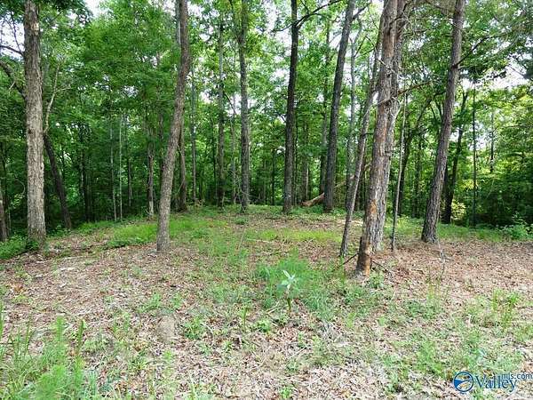 2 Acres of Land for Sale in Jasper, Alabama