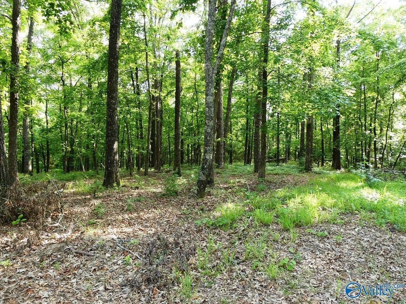 0.59 Acres of Residential Land for Sale in Jasper, Alabama
