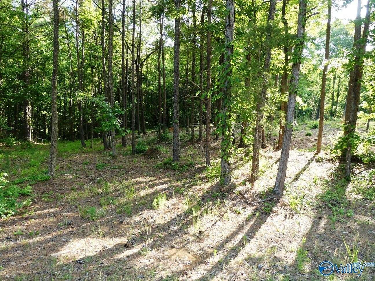 0.8 Acres of Land for Sale in Jasper, Alabama