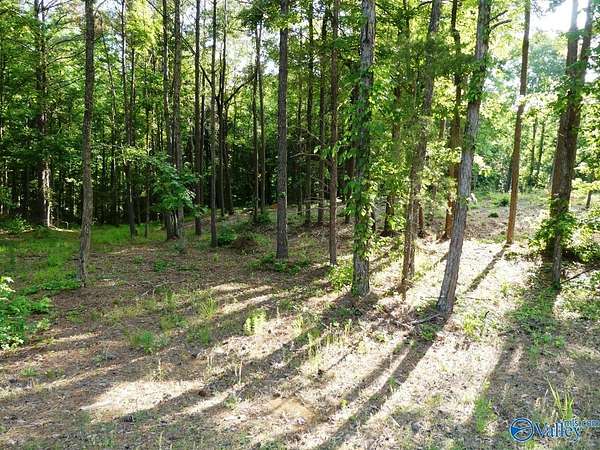 0.8 Acres of Land for Sale in Jasper, Alabama