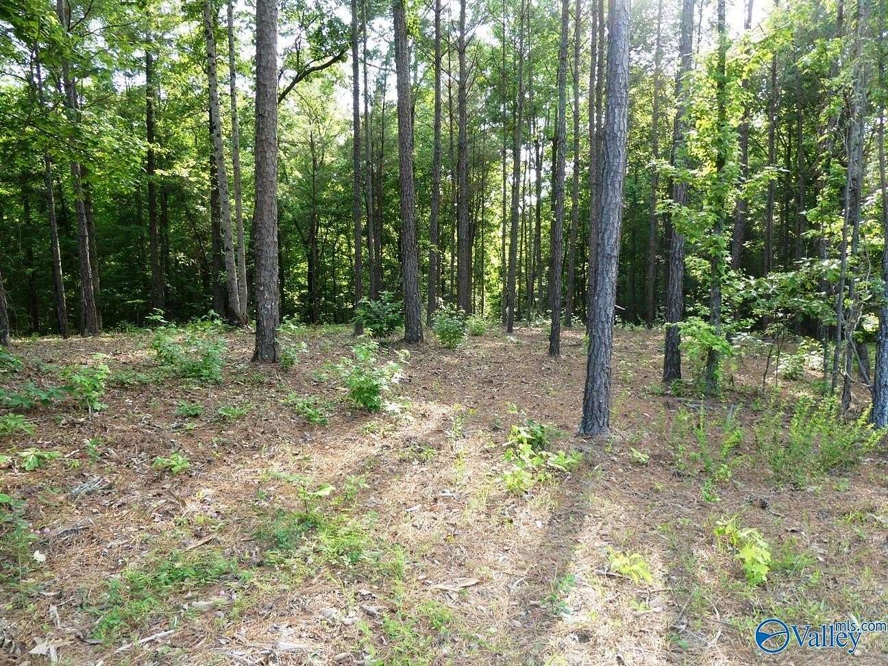 1.3 Acres of Land for Sale in Jasper, Alabama