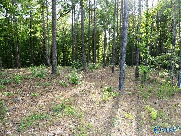 1.3 Acres of Land for Sale in Jasper, Alabama