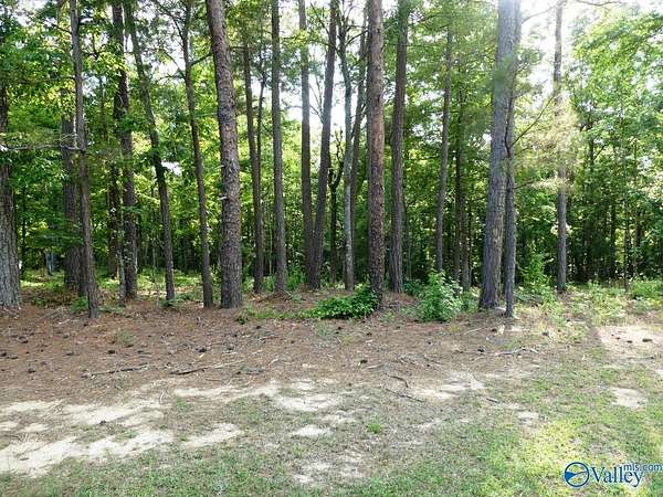 0.68 Acres of Land for Sale in Jasper, Alabama