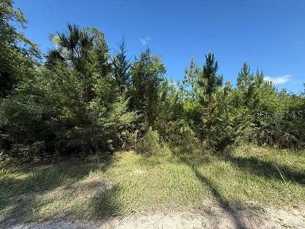 4.7 Acres of Residential Land for Sale in Bunnell, Florida