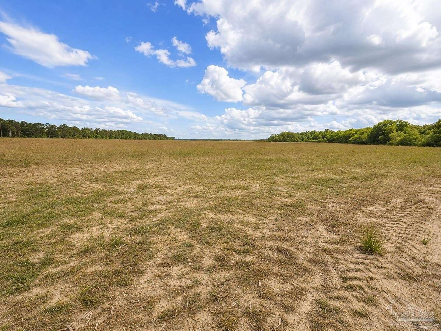 5 Acres of Land for Sale in Walnut Hill, Florida