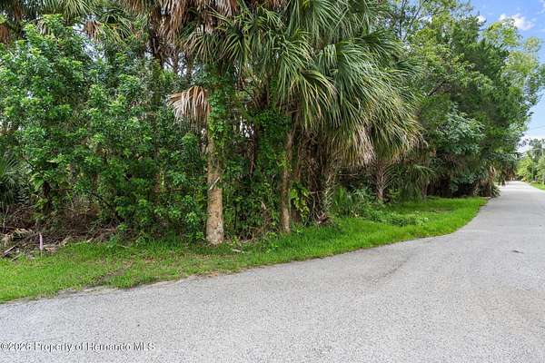 0.2 Acres of Residential Land for Sale in Weeki Wachee, Florida