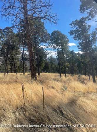 3 Acres of Residential Land for Sale in Ruidoso, New Mexico