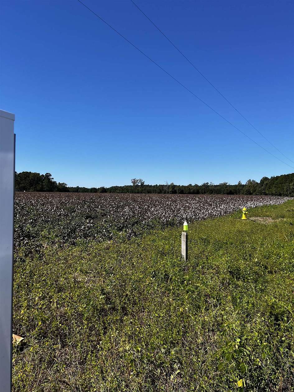 11.8 Acres of Land for Sale in Scranton, South Carolina