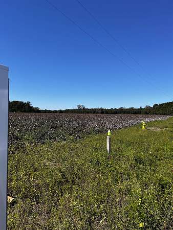 11.8 Acres of Land for Sale in Scranton, South Carolina