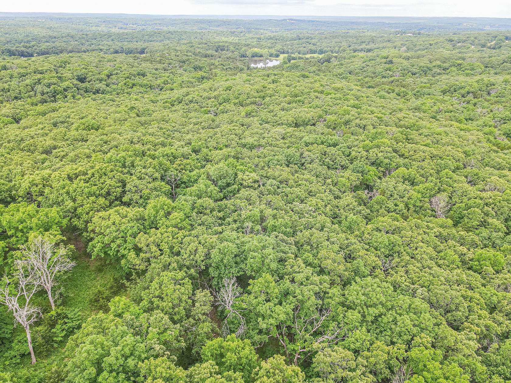 25 Acres of Recreational & Residential Land for Sale in Preston, Missouri