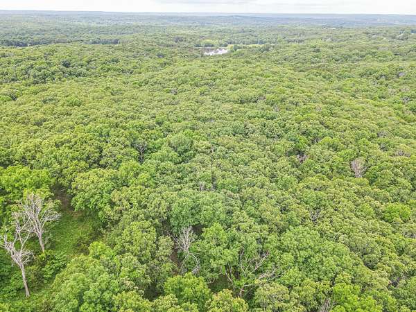 25 Acres of Recreational & Residential Land for Sale in Preston, Missouri