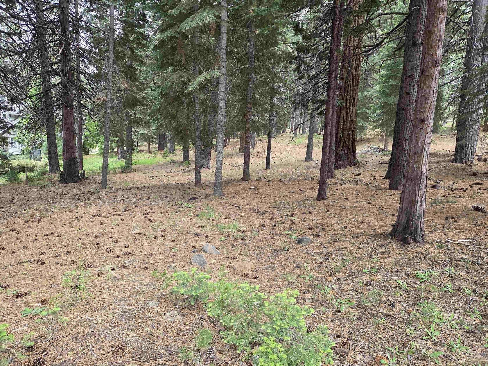1.15 Acres of Land for Sale in Lake Almanor West, California