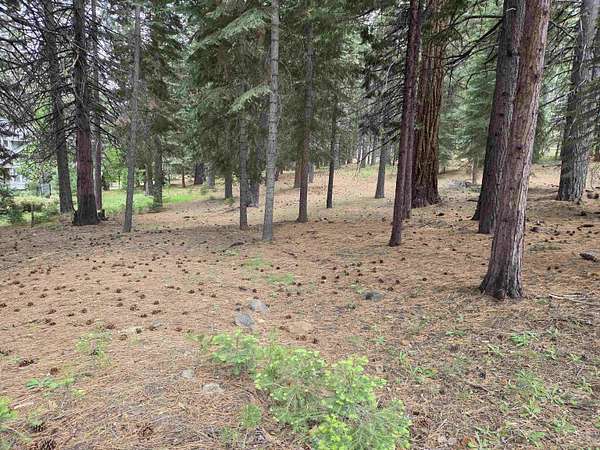 1.15 Acres of Land for Sale in Lake Almanor West, California
