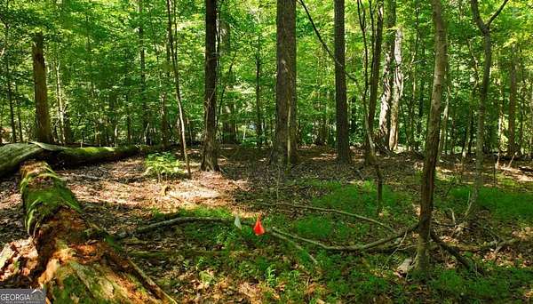 1.53 Acres of Residential Land for Sale in Lilburn, Georgia