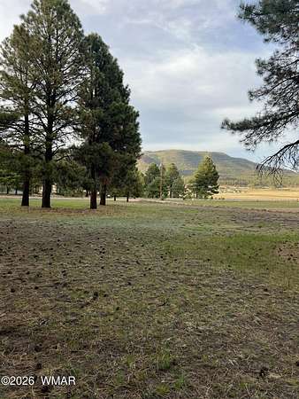 0.45 Acres of Residential Land for Sale in Alpine, Arizona
