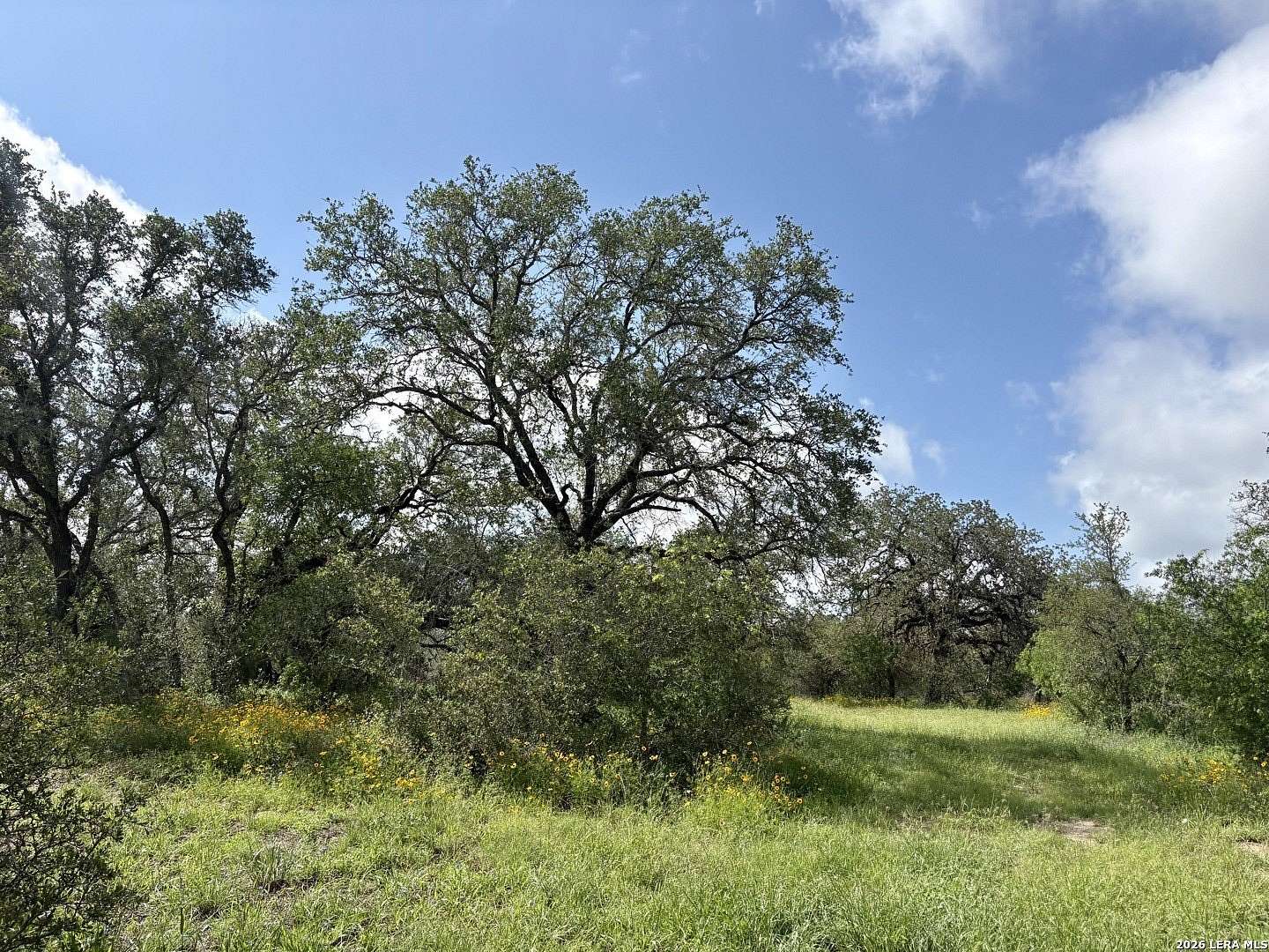 3.2 Acres of Residential Land for Sale in Von Ormy, Texas