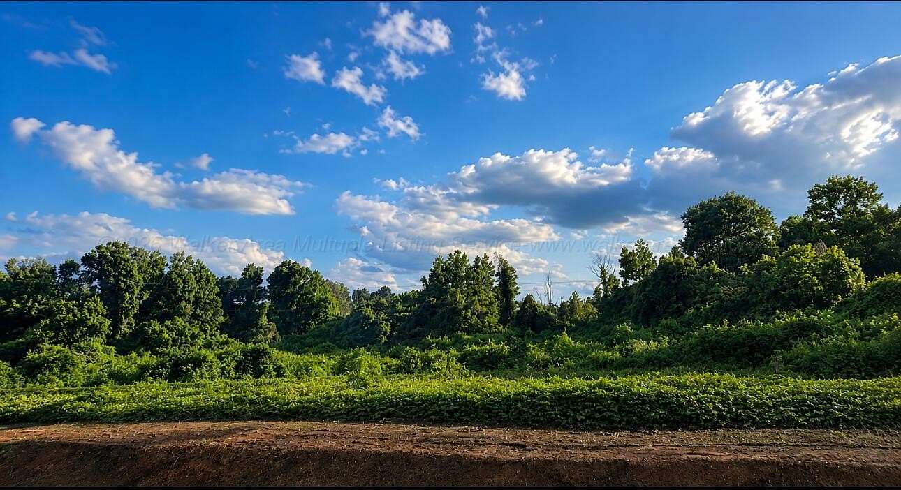 7.54 Acres of Land for Sale in Hanceville, Alabama
