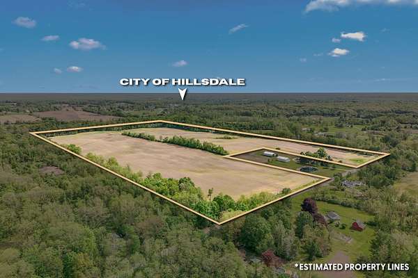 69.5 Acres of Land for Sale in Hillsdale, Michigan