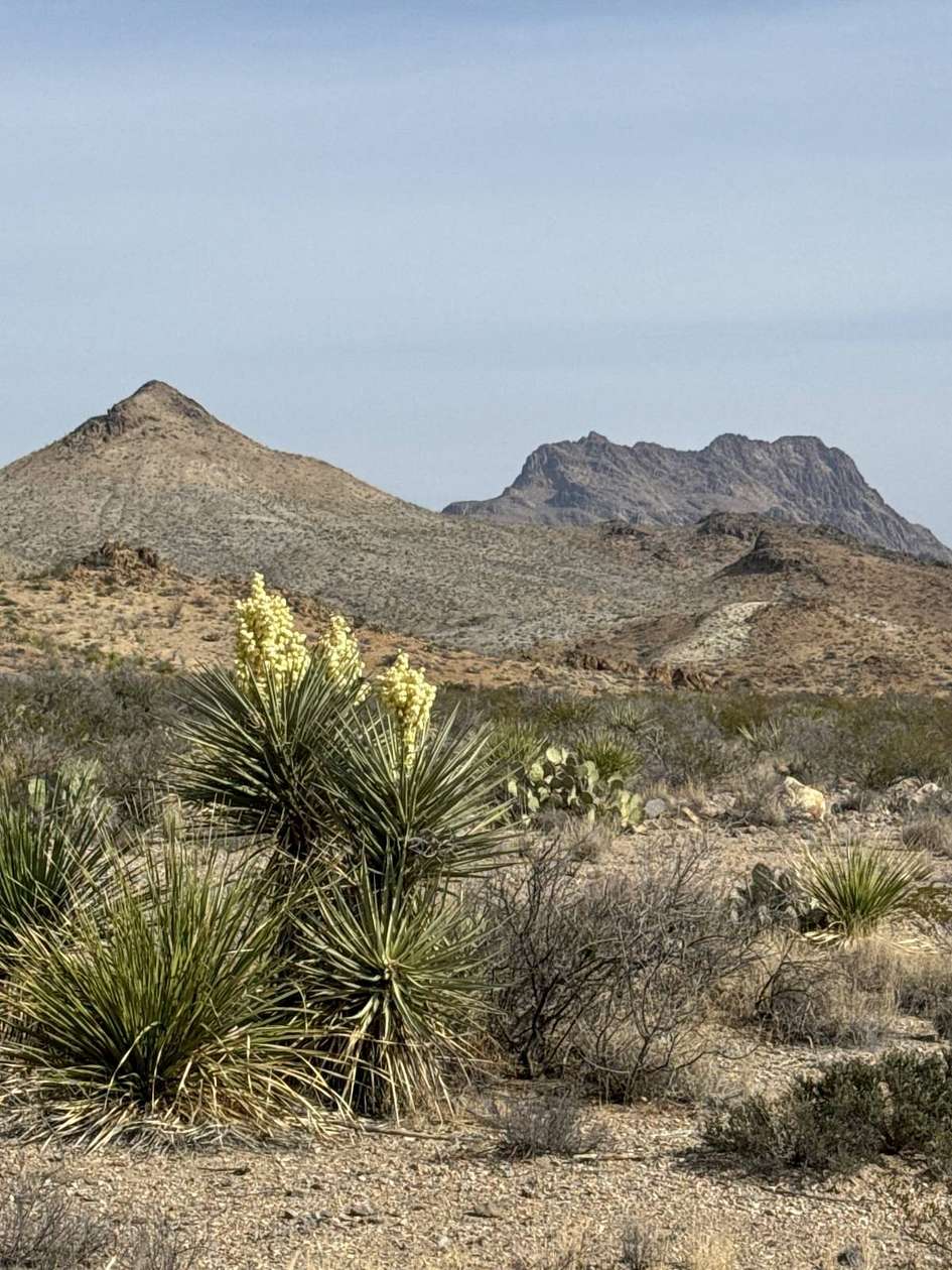 5 Acres of Land with Home for Sale in Terlingua, Texas