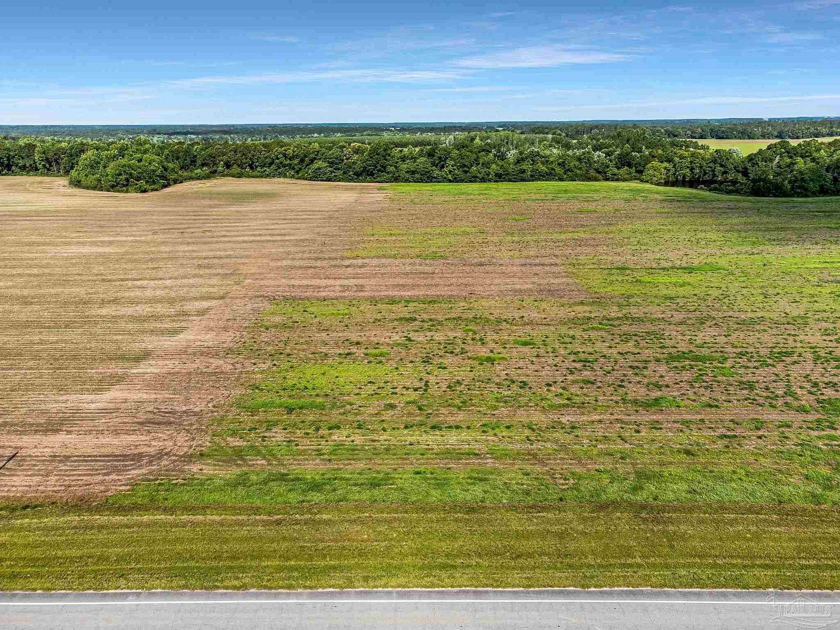 9.3 Acres of Land for Sale in Walnut Hill, Florida