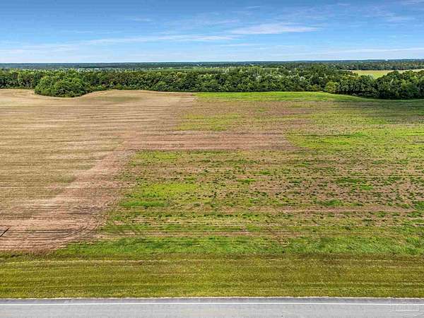 9.3 Acres of Land for Sale in Walnut Hill, Florida